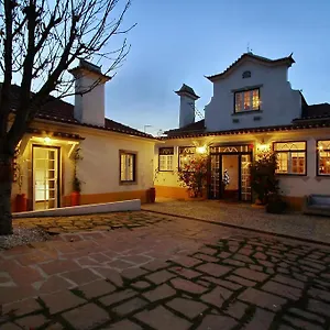 Rosas Portogallo